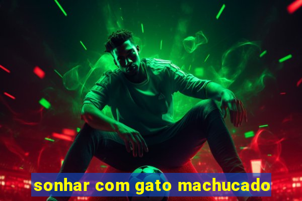 sonhar com gato machucado